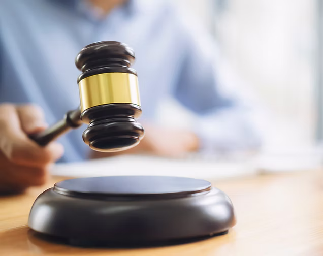 Guardianship Reports