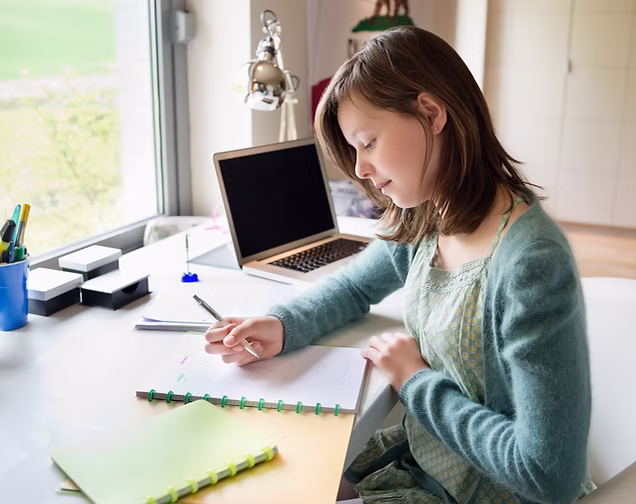 Intellectual (IQ) Evaluations